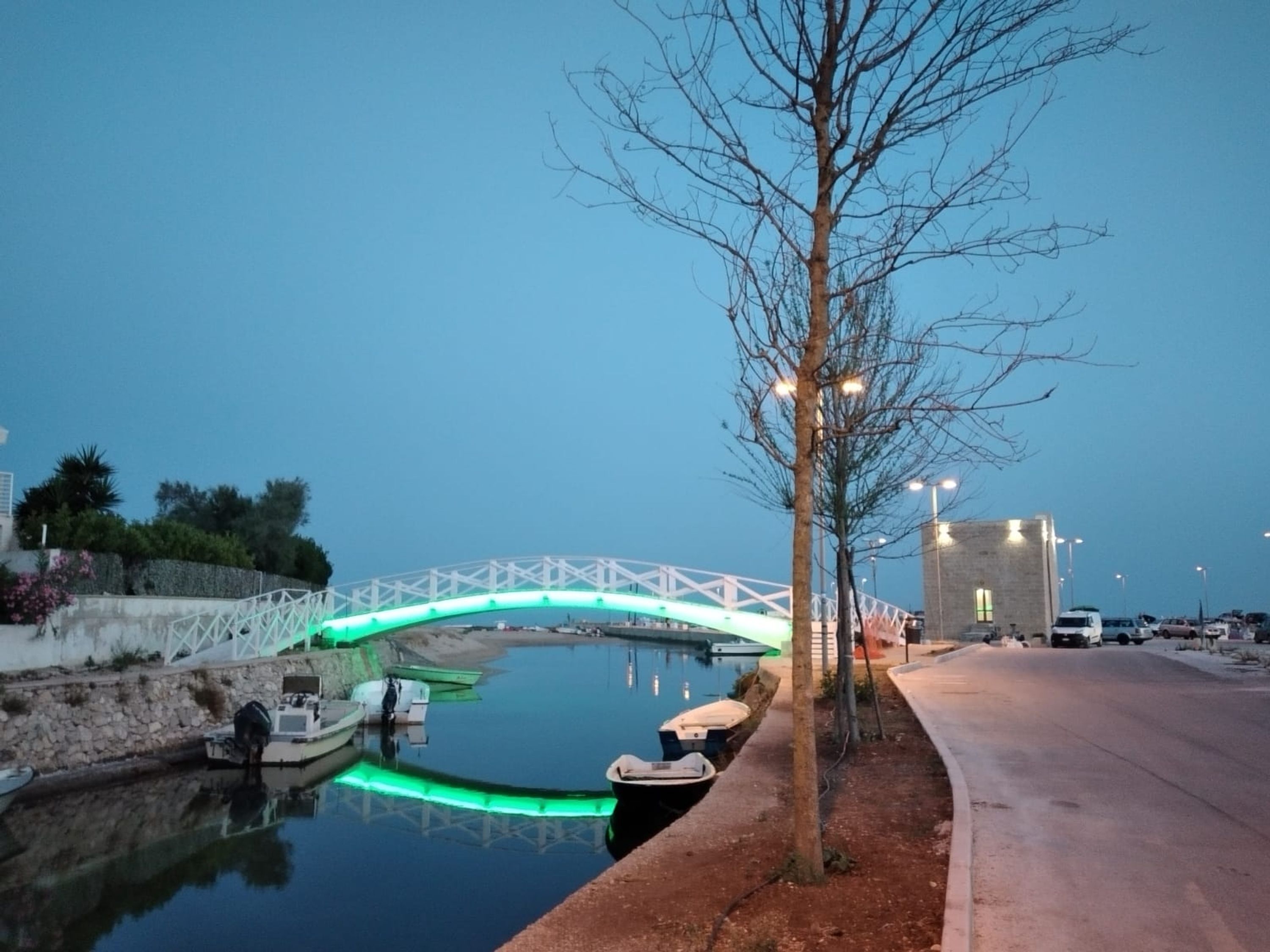 A calm waterfront with a bridge, boats, and a tree.