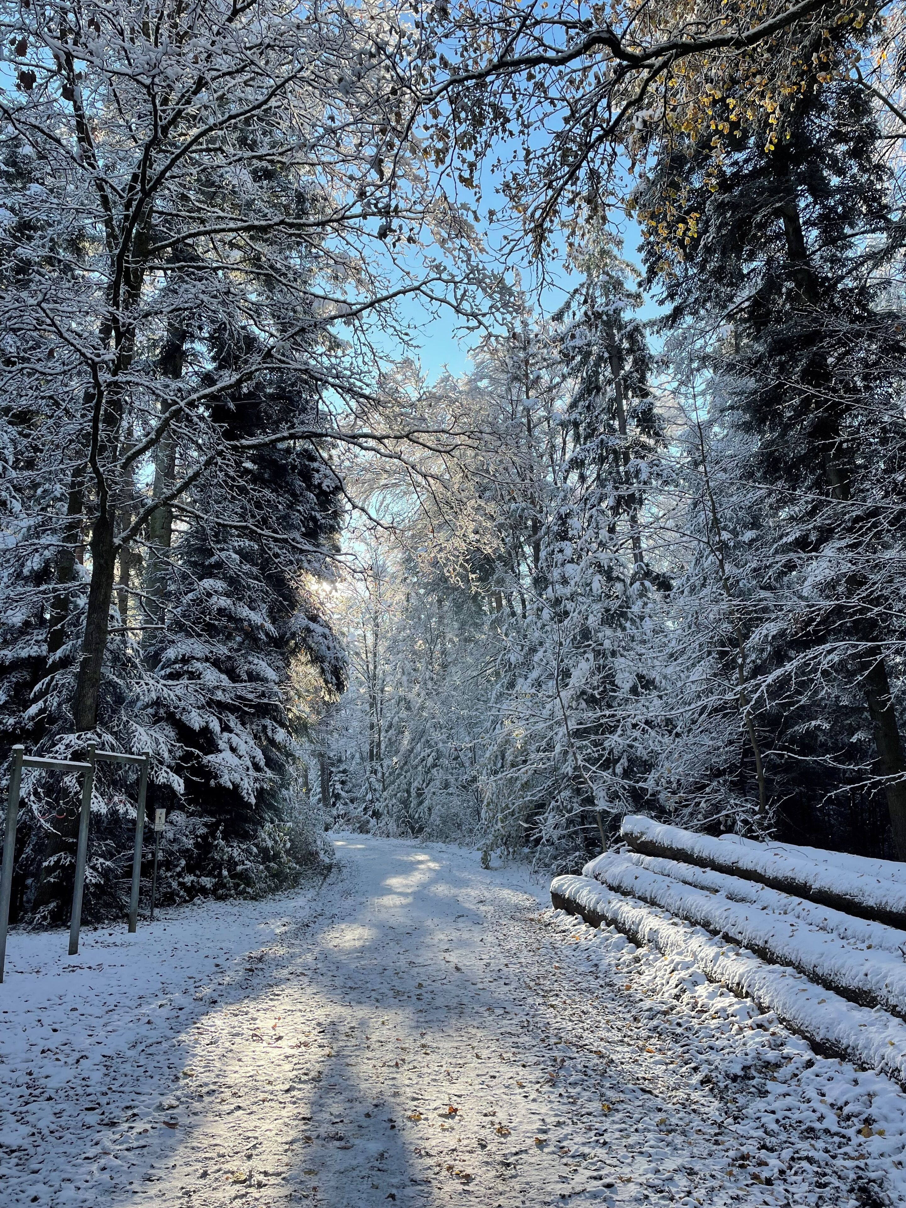 A snow-covered forest path with trees on either side.