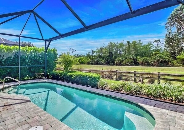 A swimming pool with a clear blue sky and greenery in the background.