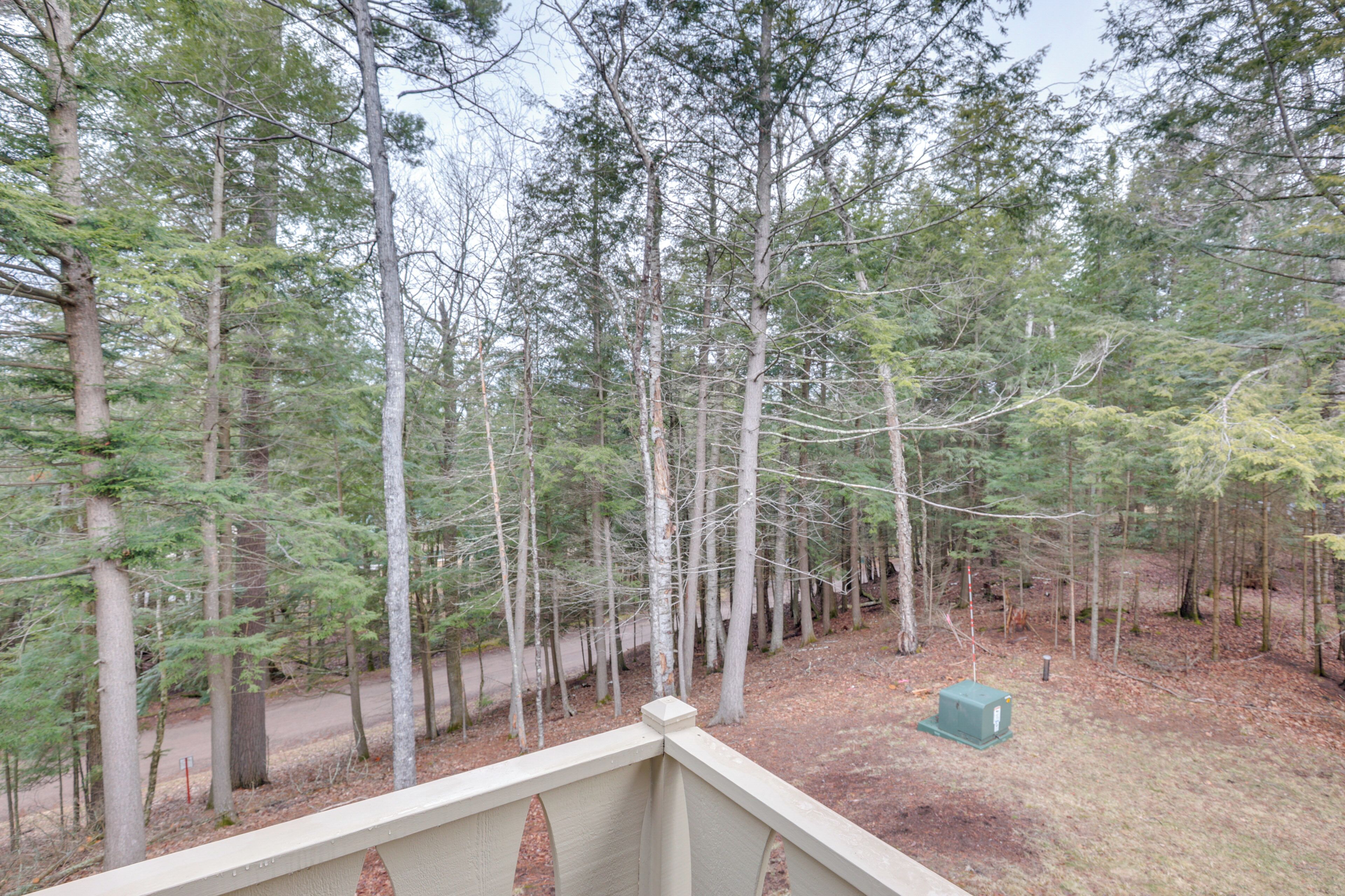 A forested area with a wooden deck.
