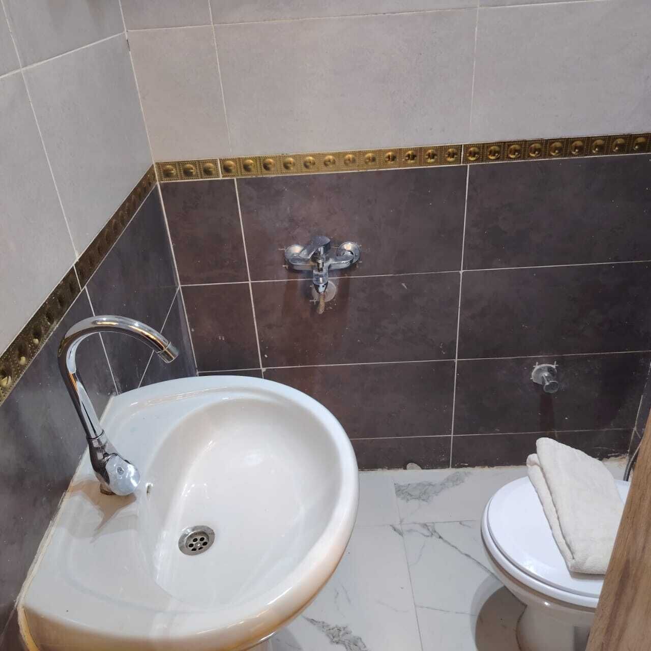 Une salle de bain avec un lavabo, des toilettes et une douche.