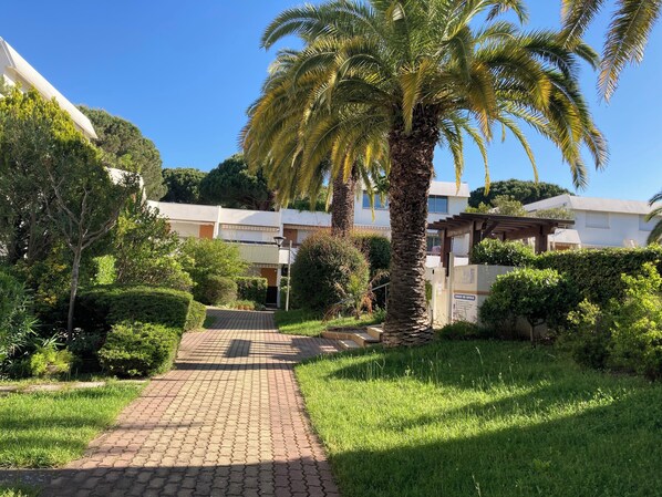 Un sendero conduce a un edificio con zona cubierta, rodeado de vegetación y palmeras.