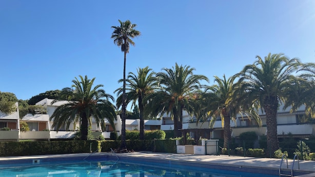 Ein Swimmingpool mit gefliesten Rändern, umgeben von Palmen und einem strahlend blauen Himmel.