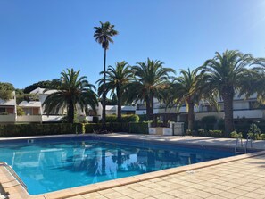 Una piscina con bordes de azulejos, rodeada de palmeras y un cielo azul despejado.