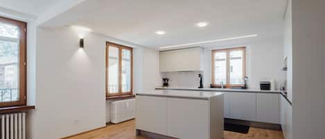 Fridge, oven, stovetop, dishwasher