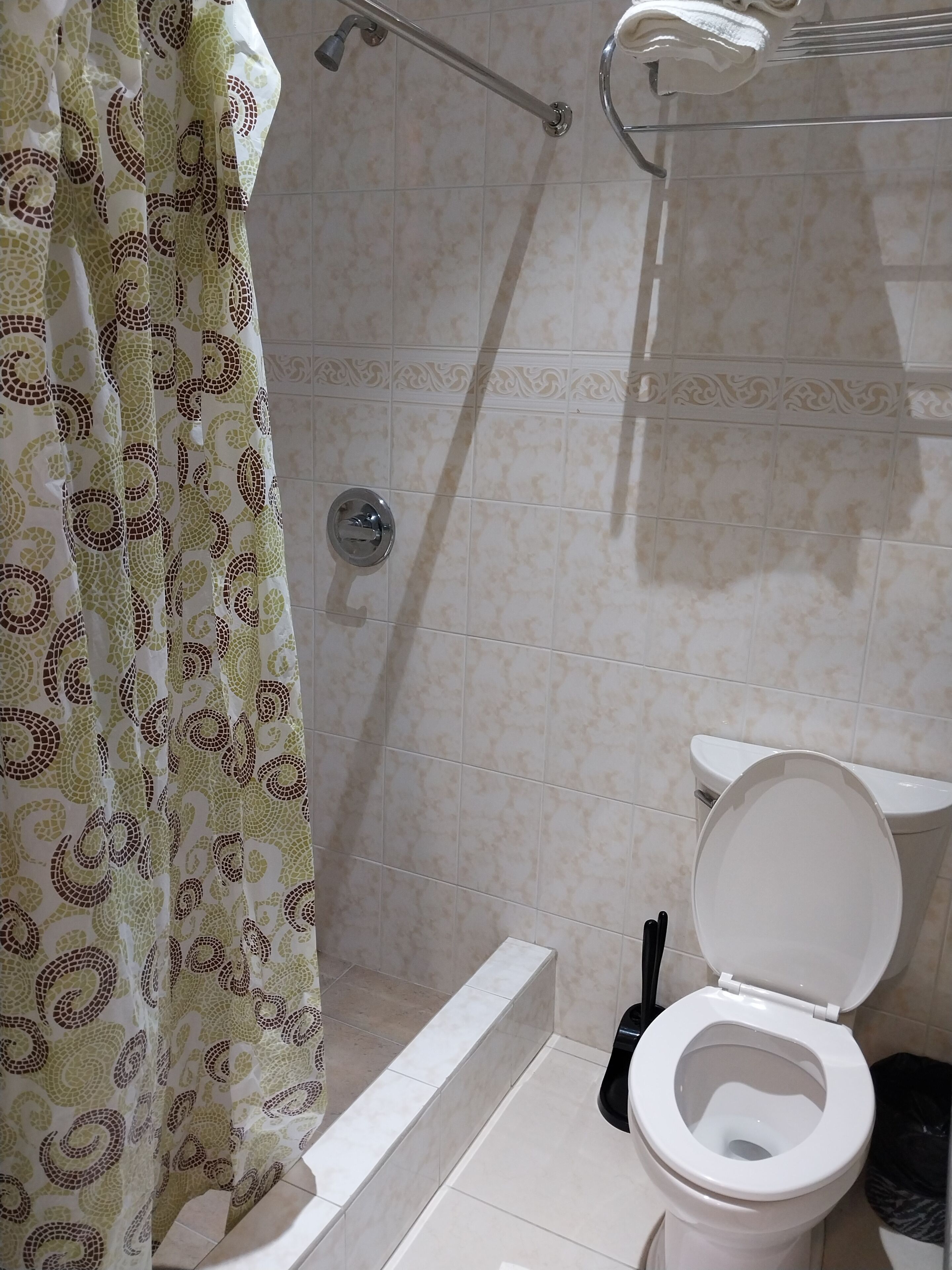 A bathroom with a shower, toilet, and a curtain with a paisley pattern.