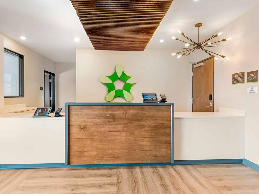 A reception area with a wooden reception desk, a green abstract wall decoration, a modern chandelier, and a wooden ceiling.