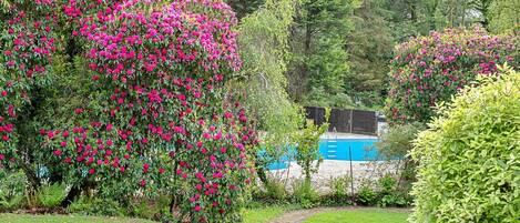 Overnatningsstedets område