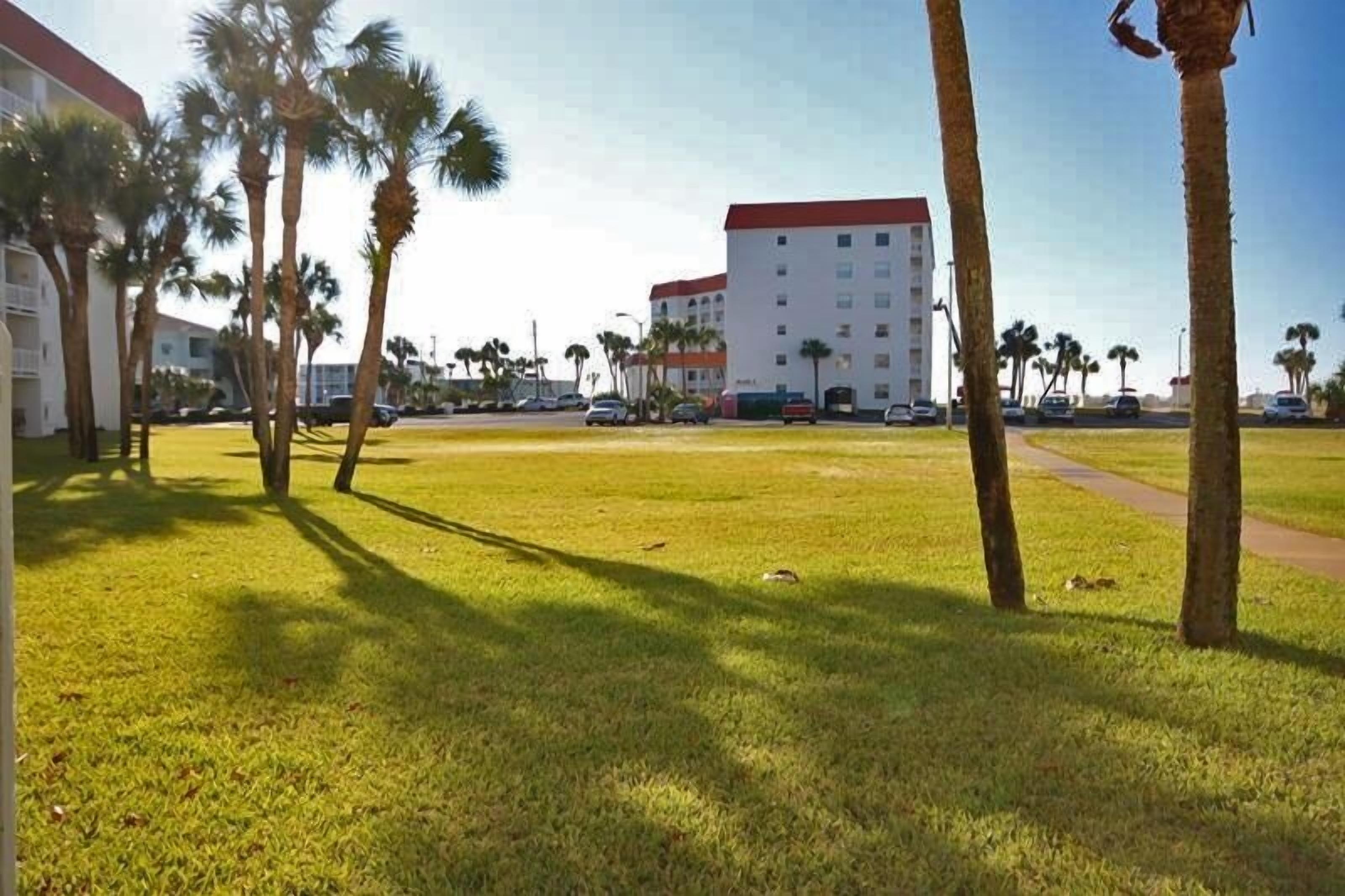 A grassy area with palm trees and a building with a red roof in the background.