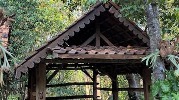 Casa clàssica, vistes al jardí | Terrassa o pati