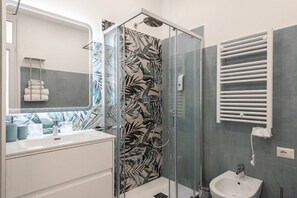 Shower, hair dryer, bidet, towels