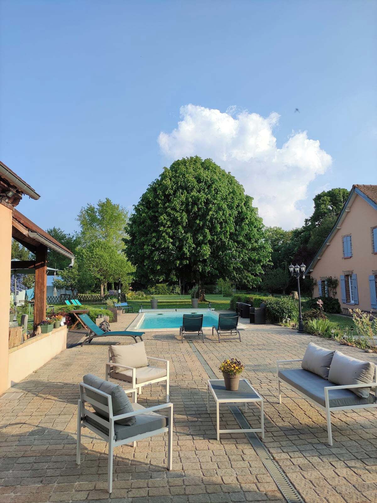 A poolside area with lounge chairs, a table with a potted plant, and a large tree in the background.