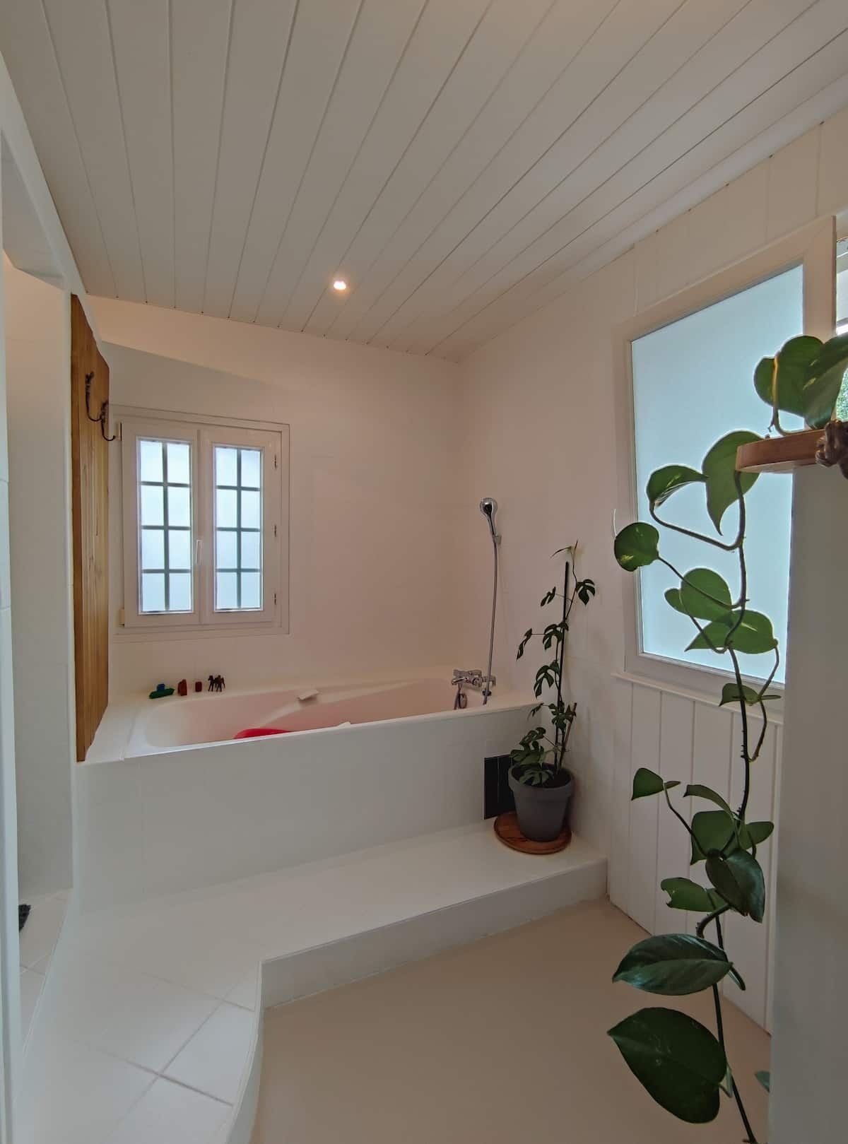 A bathroom with a white bathtub, a shower, and a window. There is a potted plant on the floor.