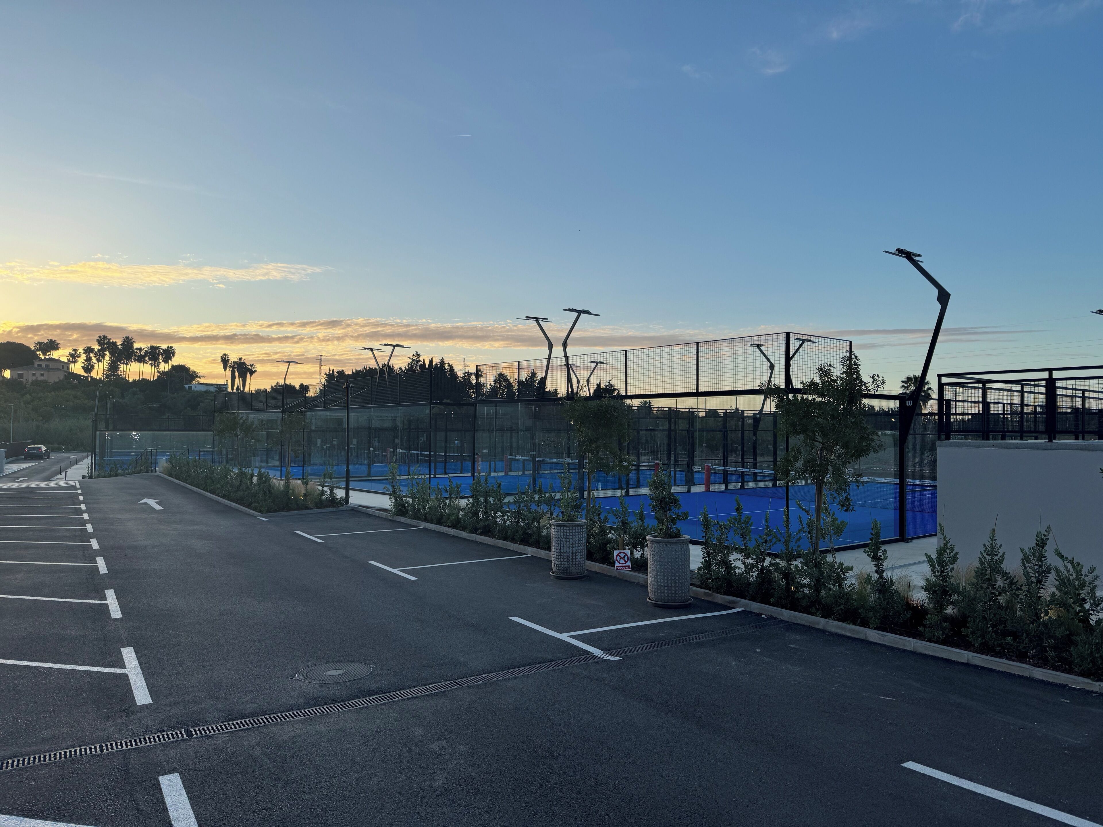 An empty tennis court with a clear sky and palm trees in the background.