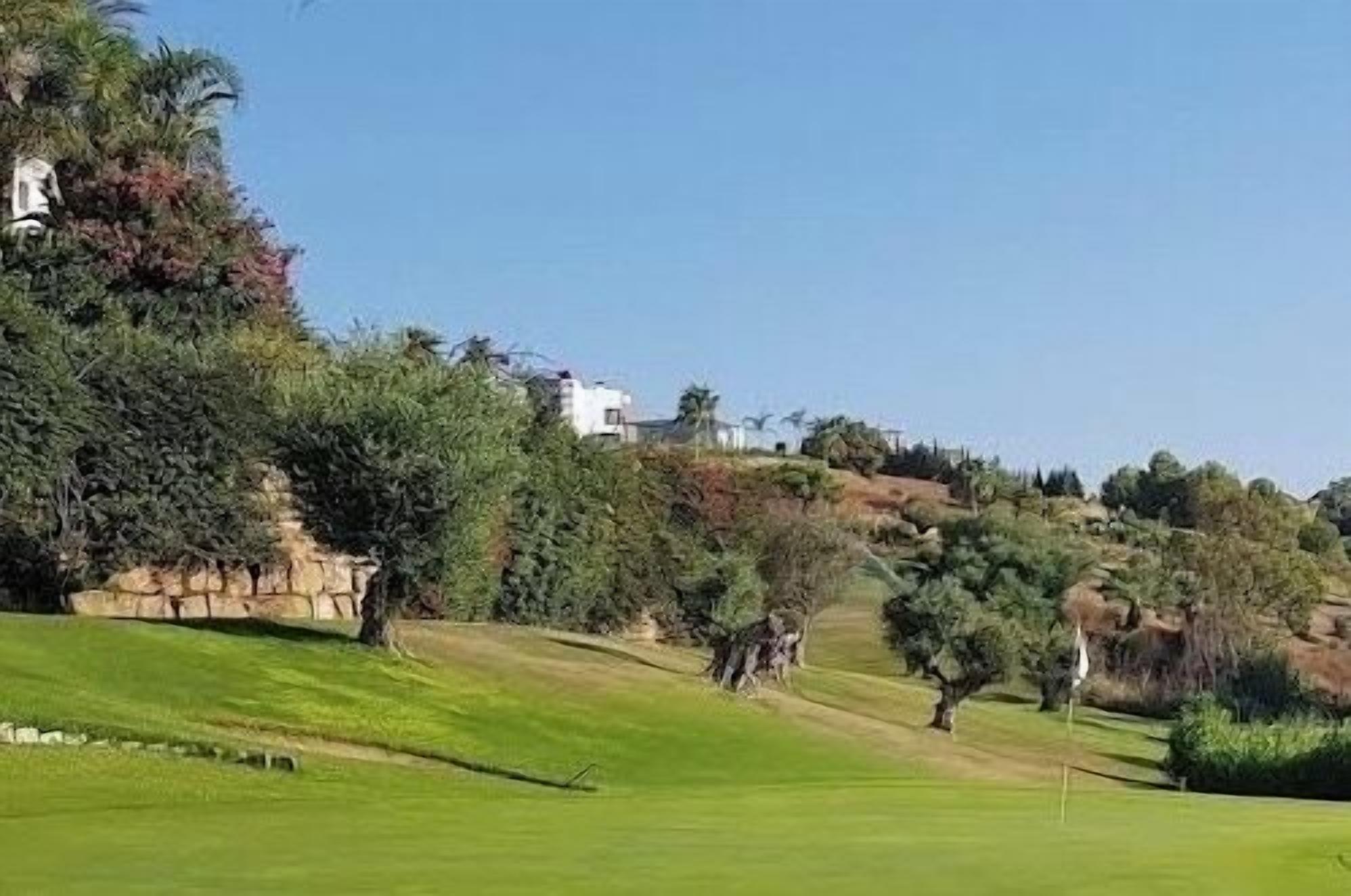 Un campo da golf con un muro di pietra, alberi e cielo sereno.