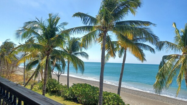 A beach with palm trees and a wooden railing. - Jasmine Bay (Fangshan)