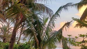 A tropical garden with palm trees, a pathway, and a view of the sea. - Jasmine Bay (Fangshan)