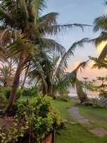 Un jardín tropical con palmeras, un sendero y vista al mar.