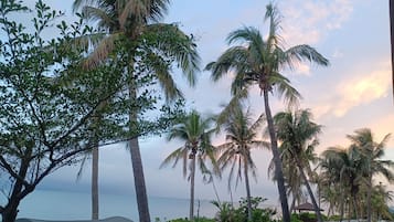 Family Studio Suite, Beach View | Terrace/patio