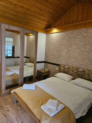 Classic Double Room Single Use, Mountain View