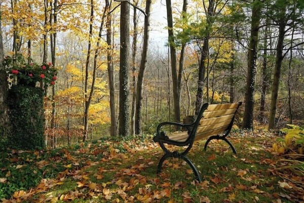 Àrea exterior de l'allotjament