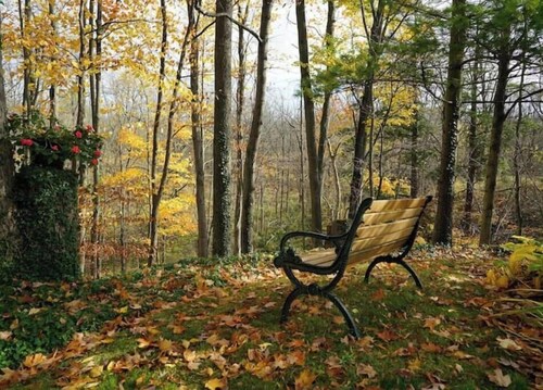 Perfect Getaway - Your Sanctuary Among Nature