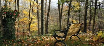 Perfect Getaway - Your Sanctuary Among Nature