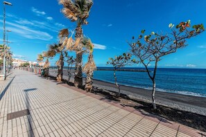 A paved walkway with palm trees and a view of the ocean. - Seaside Escape, Pool & Terrace in Puertito Güímar (Puertito de Güímar)