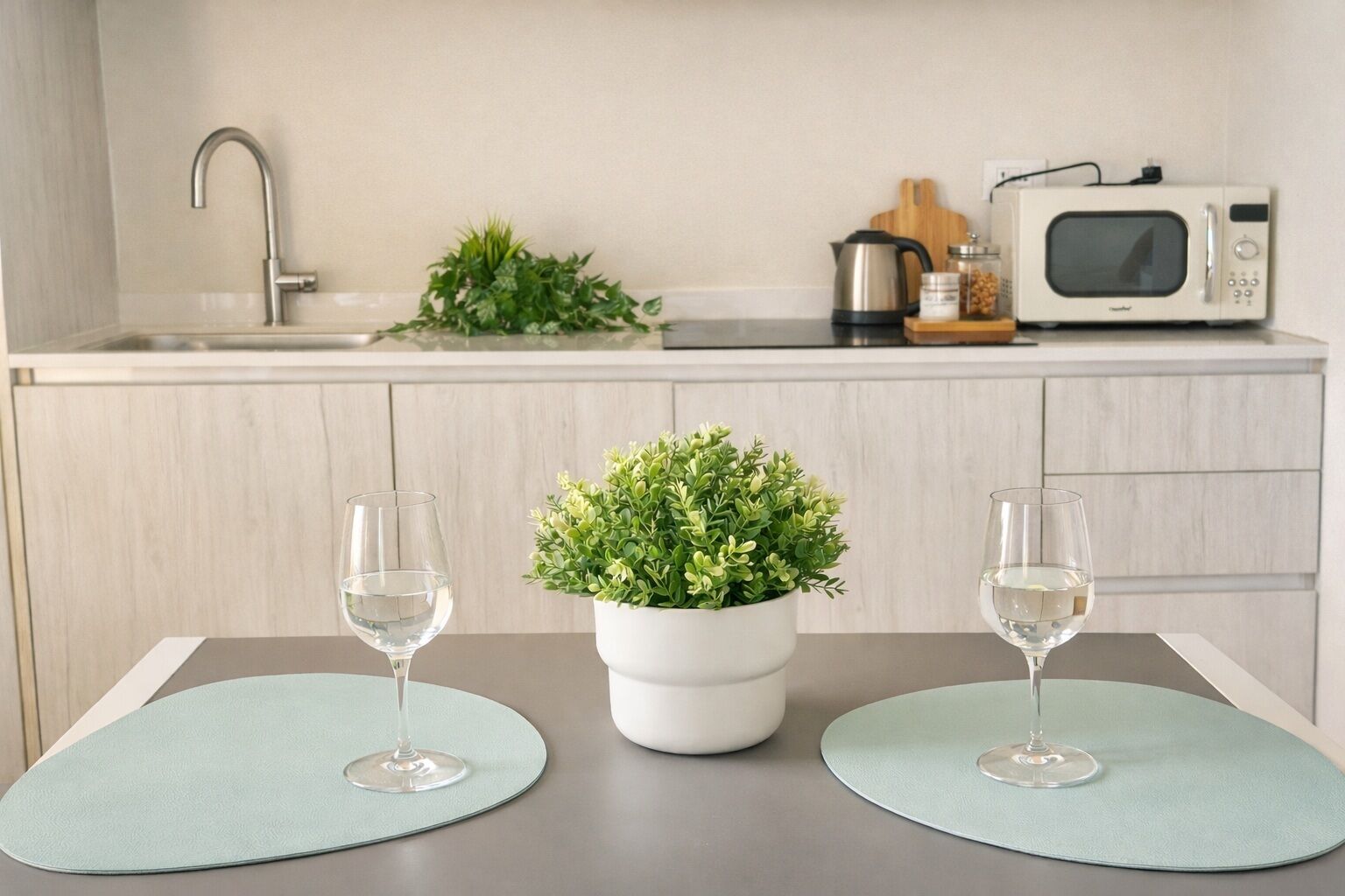 Kühlschrank, Mikrowelle, Herdplatte, Geschirrspüler