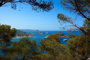 A coastal landscape with rocky outcrops and dense pine trees. - Marina A6 4 pax With 2 Bedrooms and 2 Bathrooms (Denia)