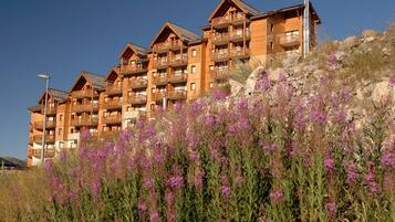 Apartemen | 1 kamar tidur