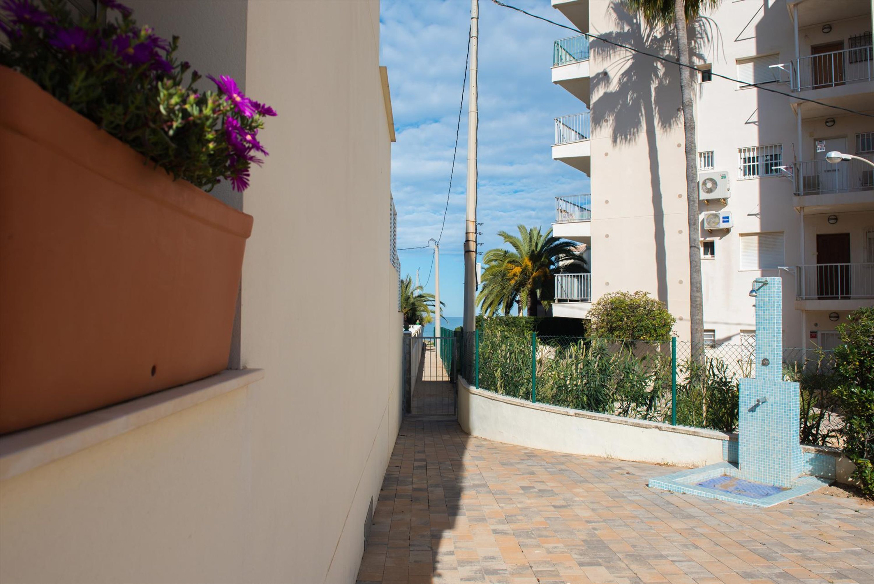 Un sendero estrecho que lleva a un edificio con balcones, piso de baldosas y una maceta con flores moradas.