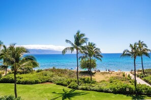 A tropical beach view with palm trees, a clear sky, and a distant mountain range.