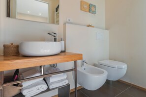 Shower, hair dryer, bidet, towels