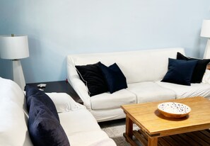 Smart TV, DVD player, books