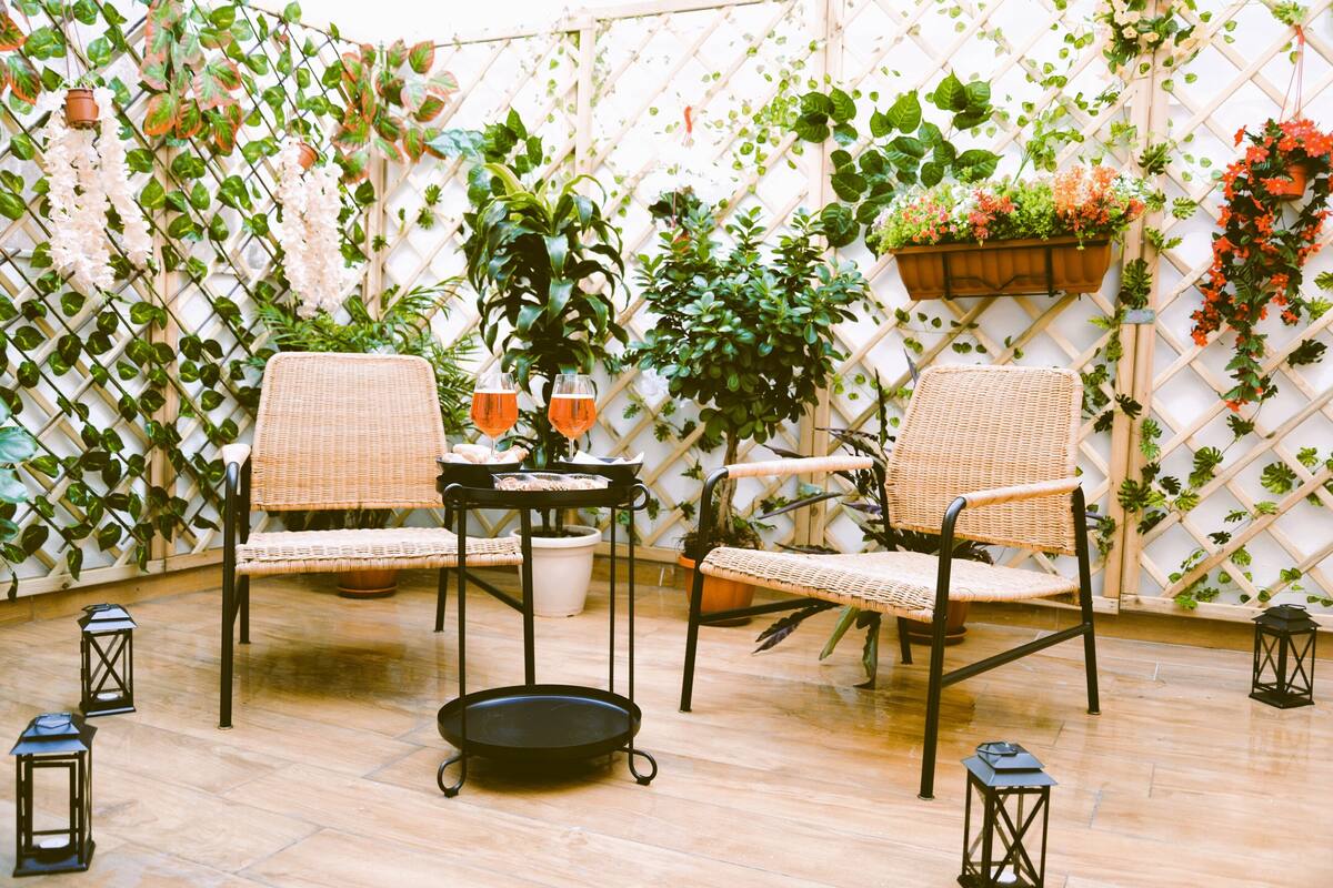 A patio with wicker chairs, a table with drinks, and potted plants against a lattice wall.