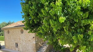 Un edificio de piedra con techo de tejas, una escalera que lleva a una puerta y un gran árbol de hojas verdes al frente.