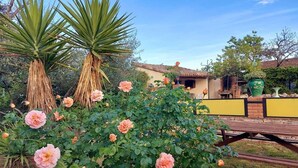 A garden with blooming roses and a wooden bench. - Olive trees (Tornac)