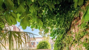 A narrow pathway with gravel, bordered by a wooden planter and a stone wall. - City Garden - A green setting in the heart of Dijon (3 stars) (Dijon)
