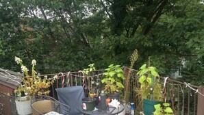 A balcony with potted plants, a chair, and a table.