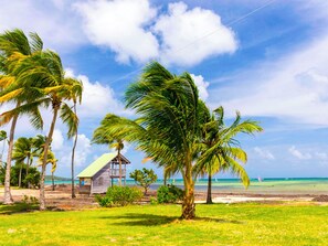 A beach scene with palm trees, a wooden hut, and a clear blue sky. - Town house 5 minutes from one of Martinique's best kitesurfing spots (Le Vauclin)