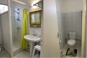 Hair dryer, towels, shampoo, toilet paper