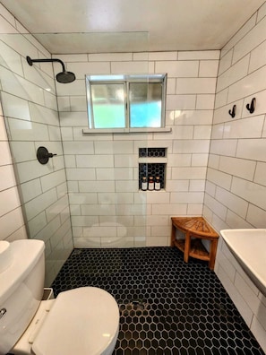 Shower, hair dryer, shampoo