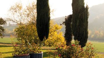 Hidromassagem externa