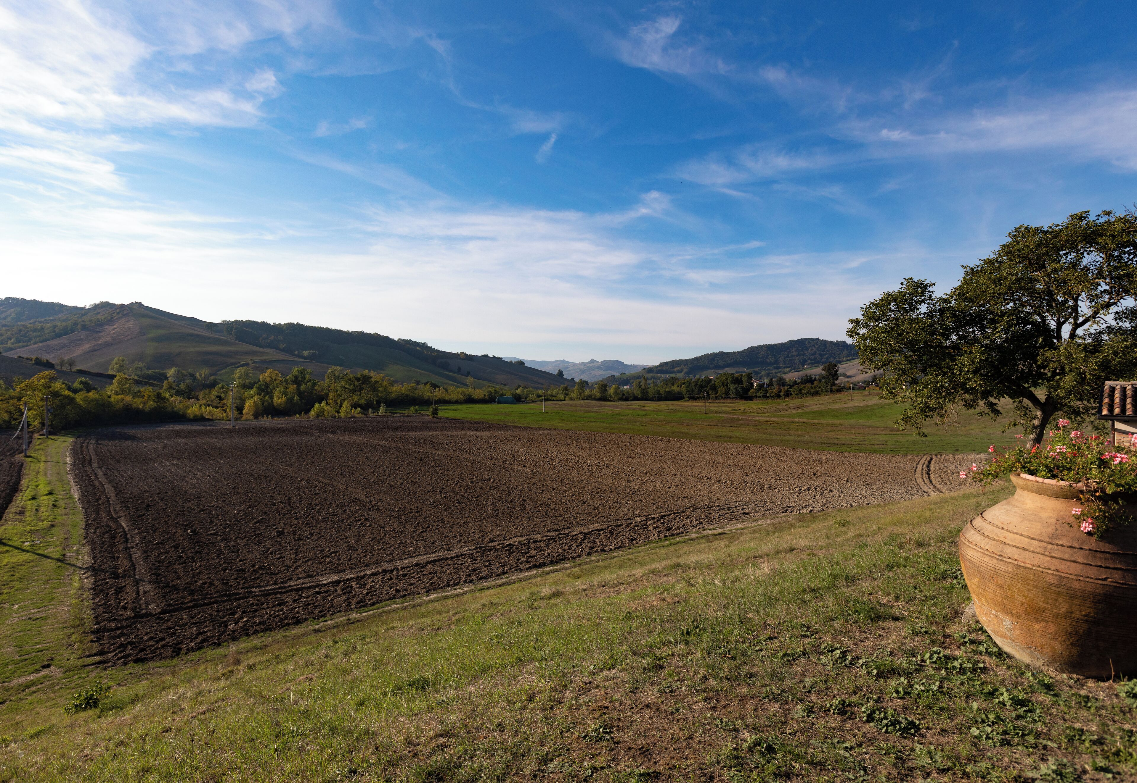 Un paysage rural caractérisé par un vaste champ ouvert, des collines douces et un ciel dégagé.
