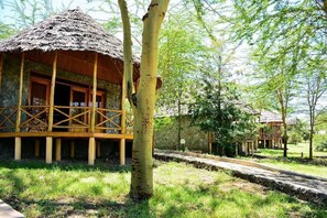 Un edificio rustico in legno con tetto di paglia, immerso nel verde e con un vialetto in pietra.