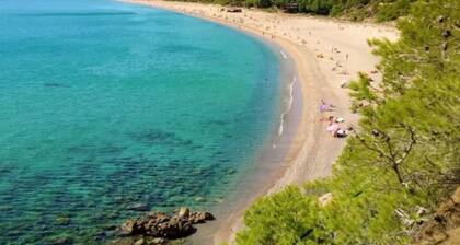 Villa with swimming pool, barbecue and playground. Ideal to enjoy with the family