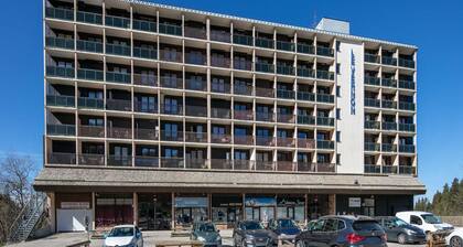 Studio in Chamrousse Near Ski Resort