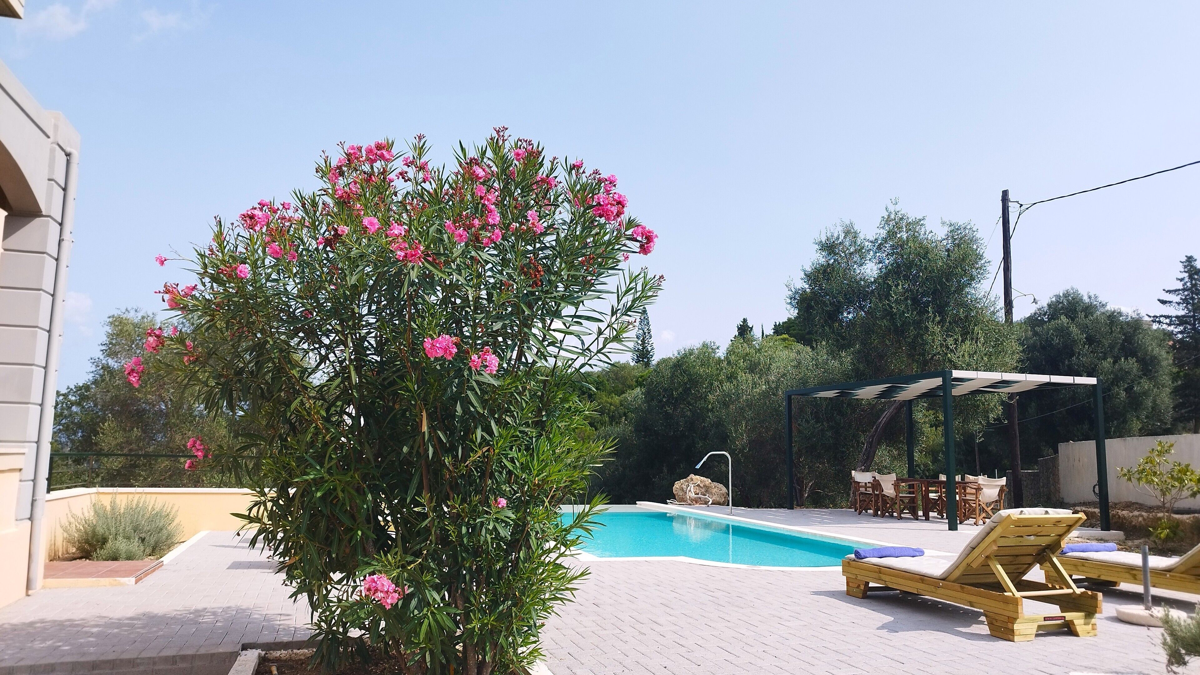 A swimming pool with lounge chairs and a pergola, surrounded by greenery and a building.