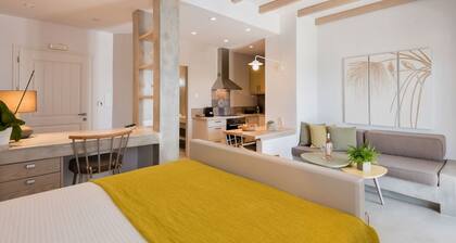 Michael Zeppos Studios, Naousa